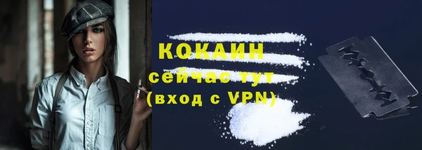 винт Снежногорск