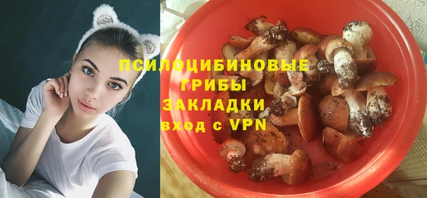 сатива Инсар