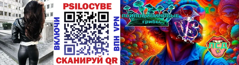 Галлюциногенные грибы Psilocybine cubensis  Александровск 